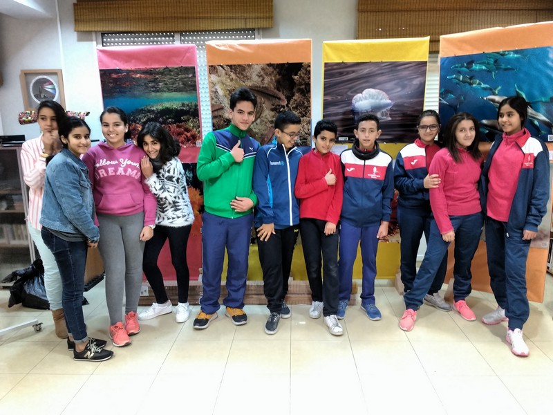 Alumnos de Valores Éticos visitando la exposición de especies marinas